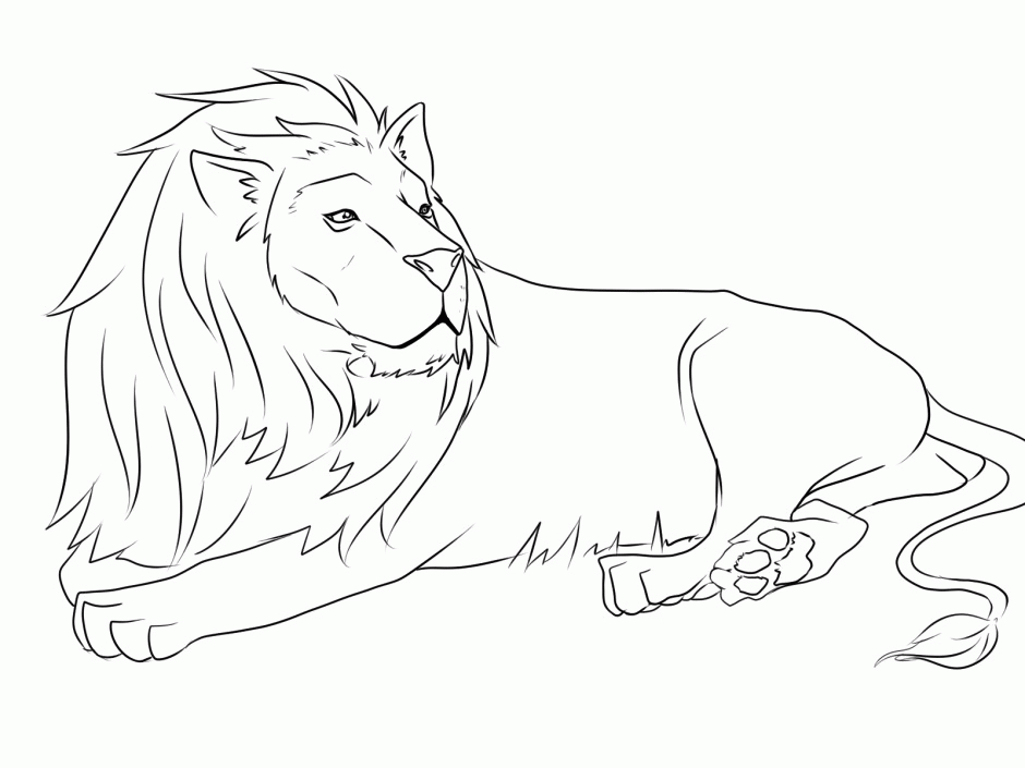 african lion coloring page free printable lion coloring pages for kids cool2bkids lion coloring african page 