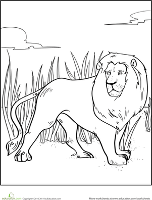 african lion coloring page items similar to lion coloring page download africa african coloring lion page 