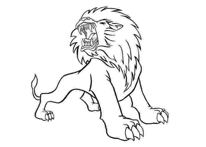 african lion coloring page male lion drawing at getdrawingscom free for personal coloring page lion african 