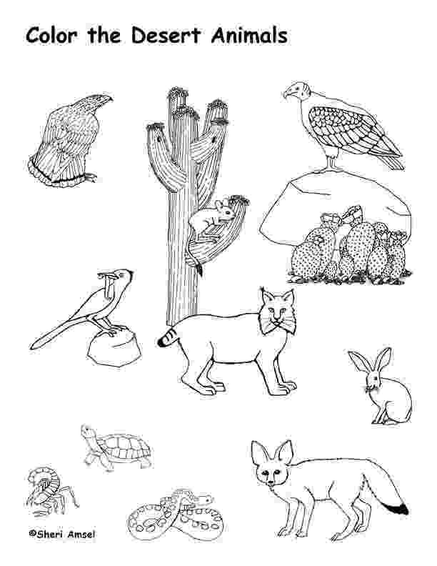 african savanna coloring pages african savanna coloring page at getcoloringscom free african savanna coloring pages 