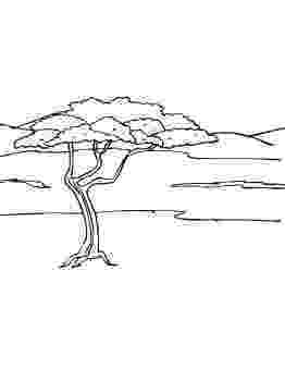 african savanna coloring pages kx free coloring pages savanna coloring pages african 