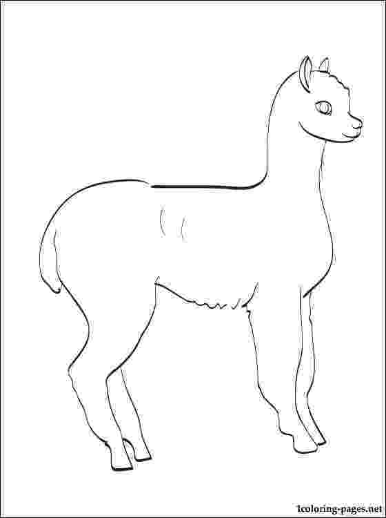 alpaca coloring pages llama and alpaca coloring page wecoloringpagecom coloring pages alpaca 