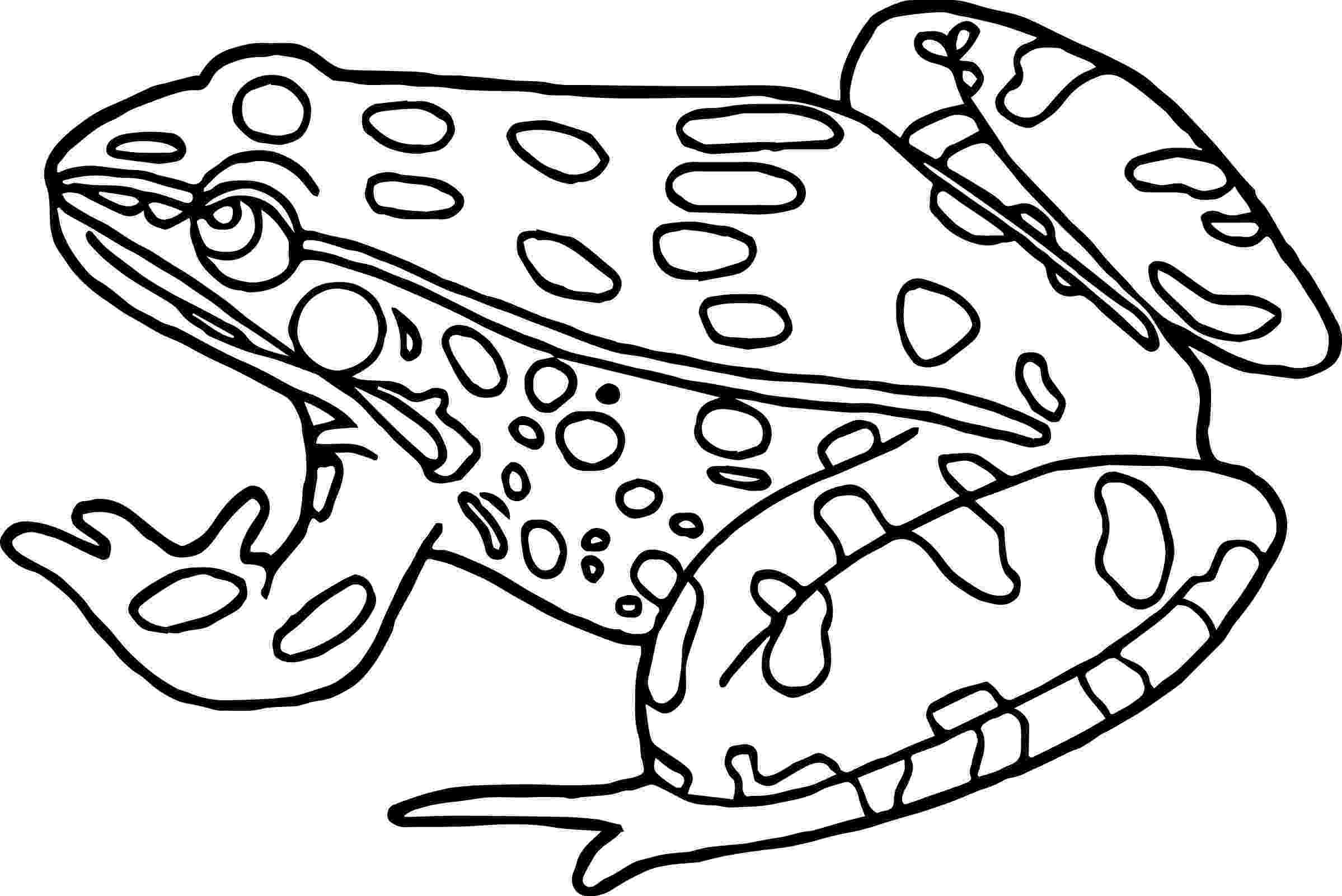 amphibian coloring pages amphibian coloring pages wecoloringpagecom coloring pages amphibian 