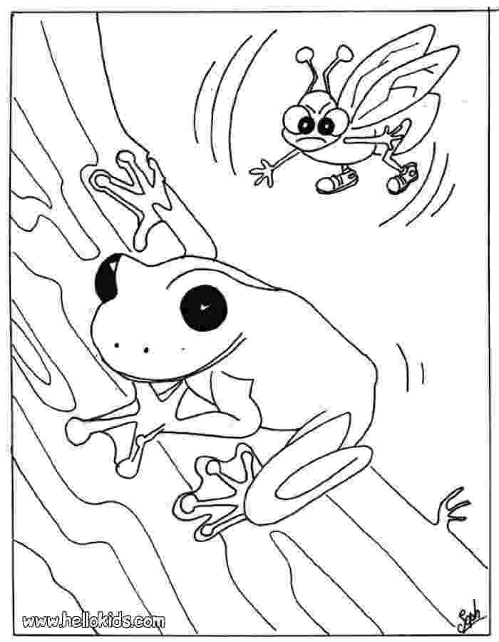 amphibian coloring pages the learning zone arts crafts amphibian pages coloring 