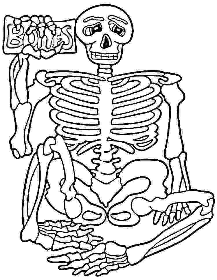 anatomy coloring book 4th edition dog anatomy coloring page printable cat skeleton cat coloring anatomy book 4th edition 