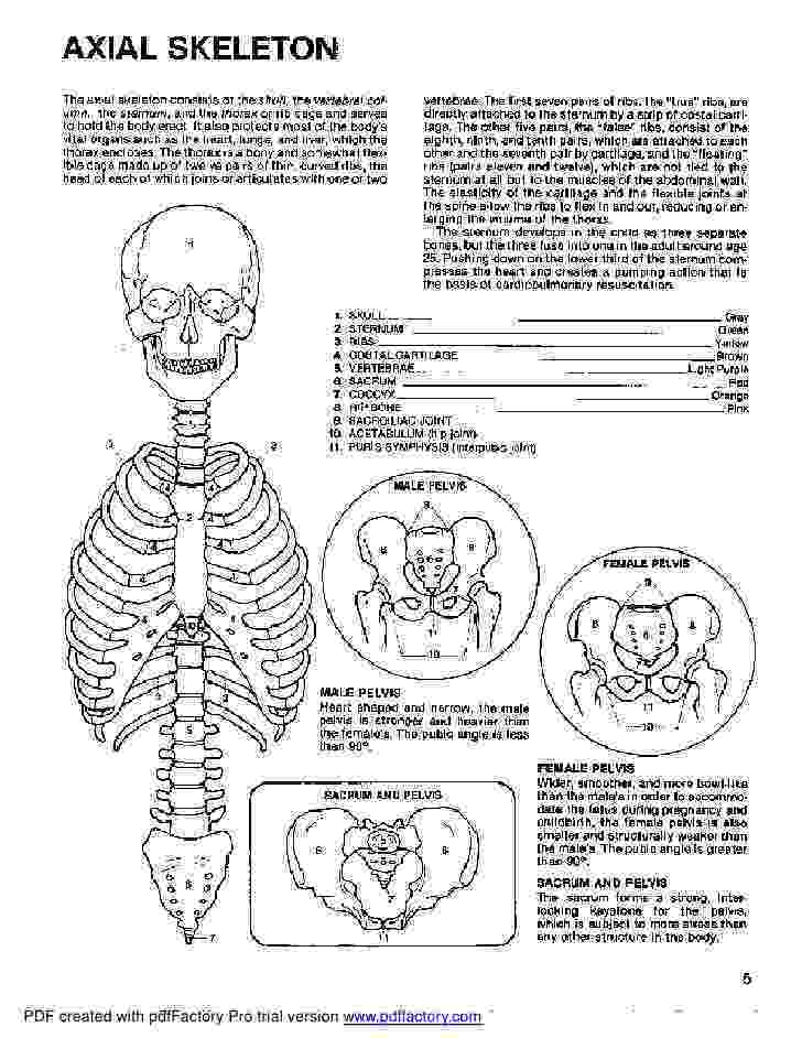 anatomy coloring book example pin by ginanjar on coloring pages anatomy coloring book anatomy coloring book example 