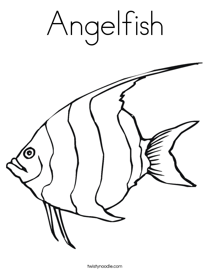 angel fish coloring page angel fish sketch coloring page coloring sky angel page coloring fish 