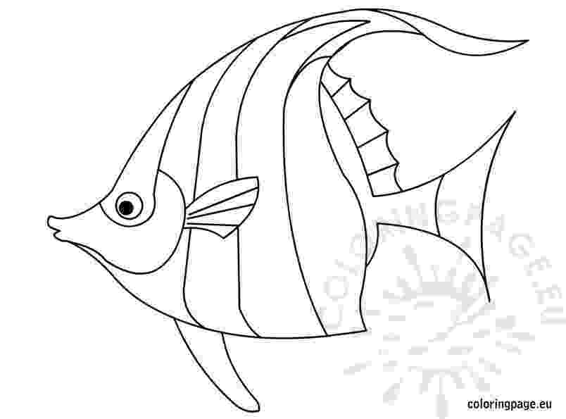 angel fish coloring page angelfish coloring pages download and print angelfish page angel coloring fish 