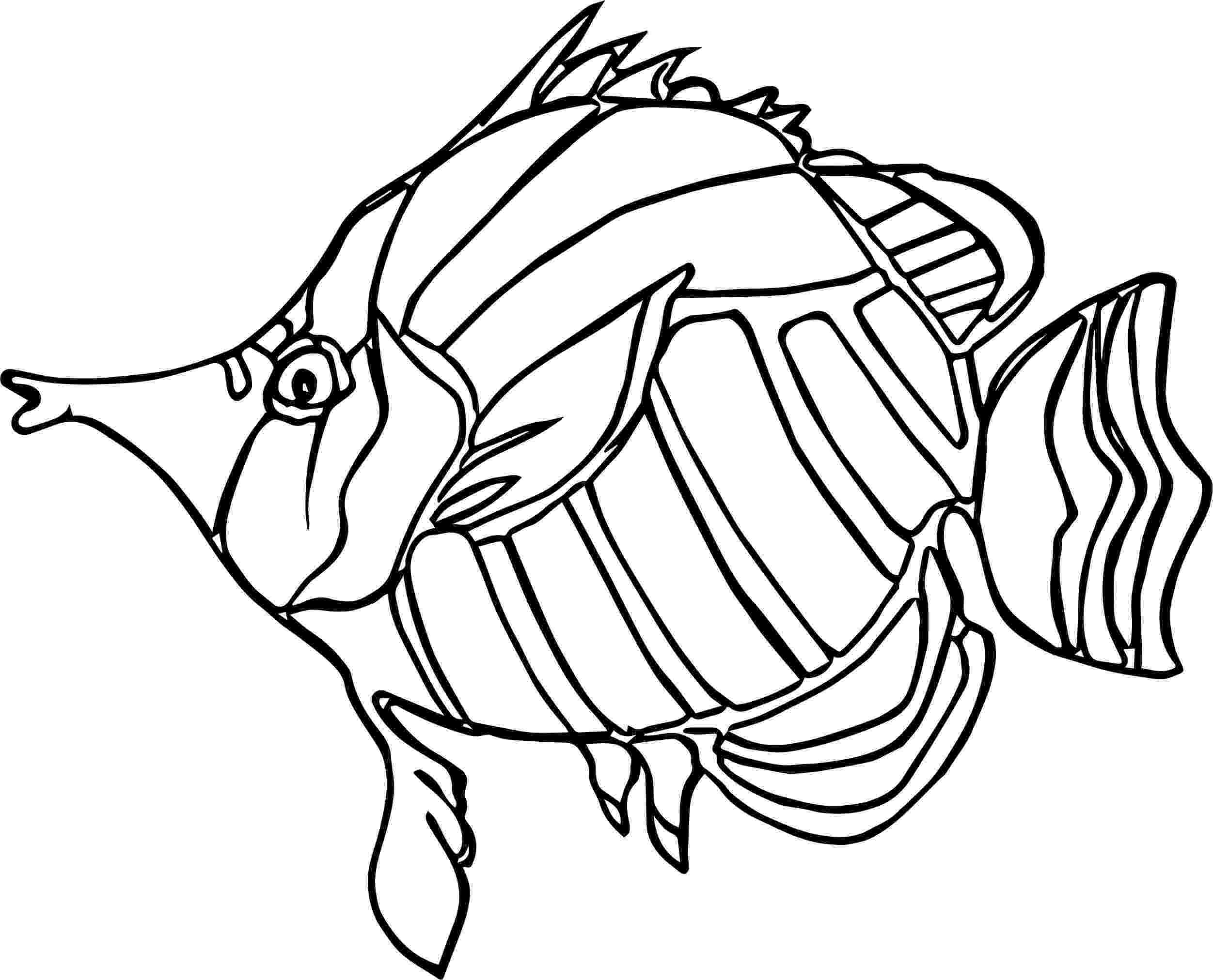 angel fish coloring page angelfish coloring pages download and print angelfish page fish angel coloring 