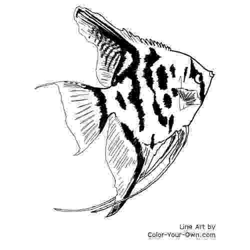 angel fish coloring page angelfish coloring pages getcoloringpagescom coloring fish angel page 