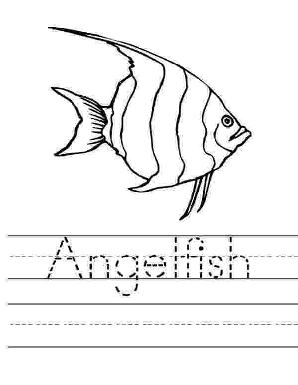 angel fish coloring page angelfish coloring pages getcoloringpagescom fish angel coloring page 
