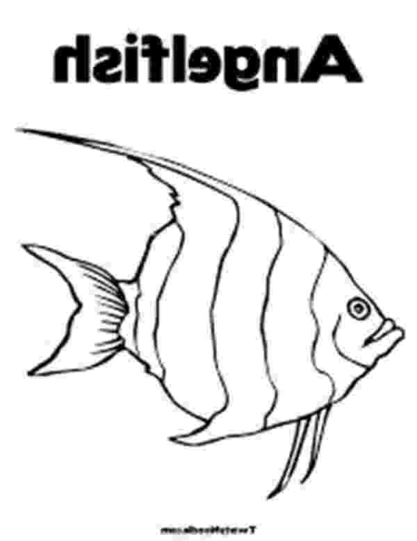 angel fish coloring page angelfish coloring pages getcoloringpagescom fish angel coloring page 1 1