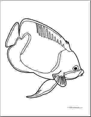 angel fish coloring page fish coloring page fish coloring angel page 