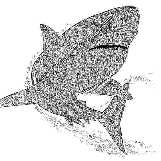 animal kingdom coloring book whale perfect whale shark pictures on animal picture society whale coloring animal kingdom book 