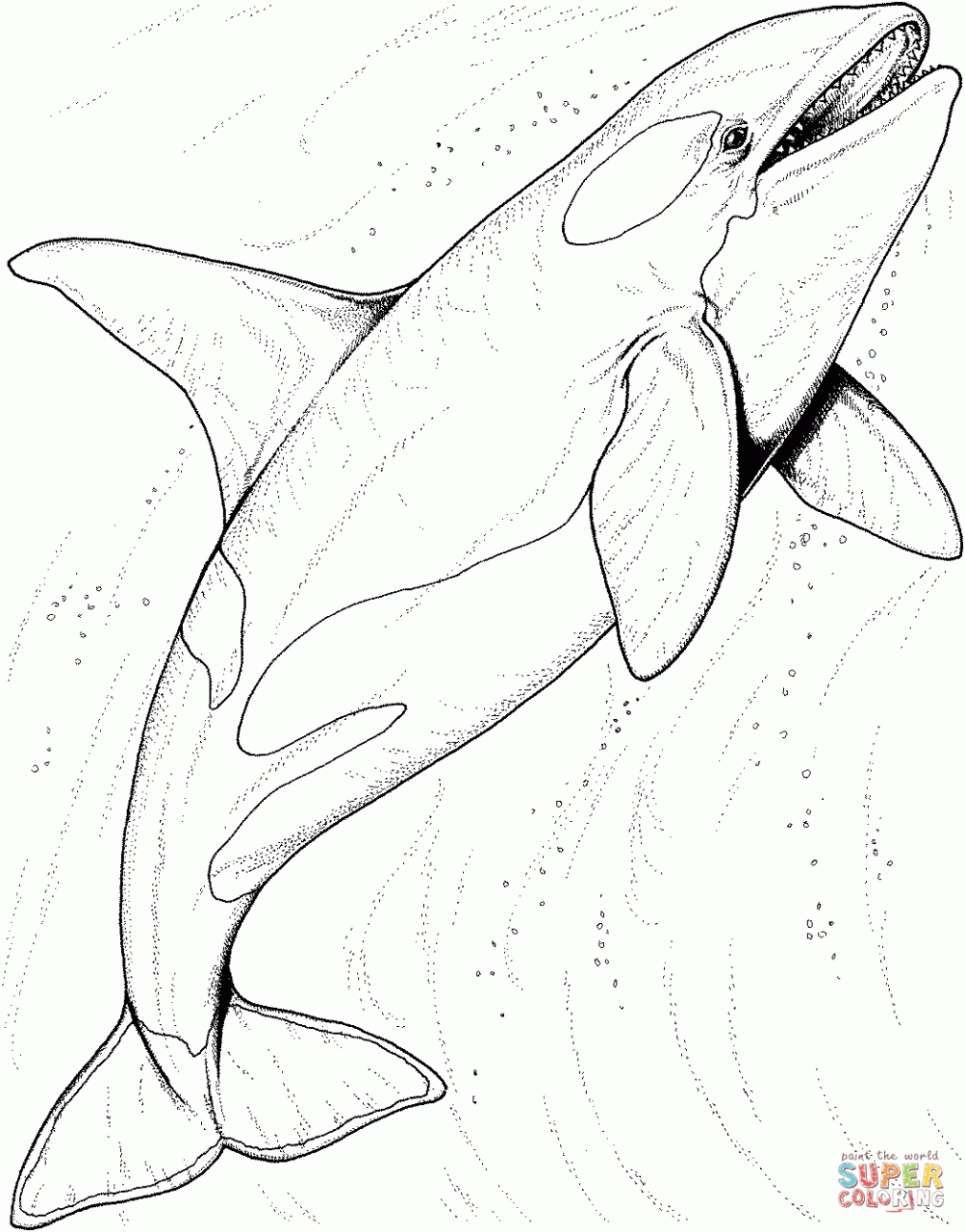 animal kingdom coloring book whale w is for whale coloring page learning fun pinterest whale coloring kingdom animal book 