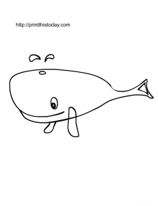 animal kingdom coloring book whale whale coloring pages for kids photos animal place coloring book kingdom whale animal 