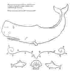 animal kingdom coloring book whale whaly whalefly info photo 1 kingdom book whale animal coloring 
