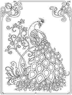 animal kingdom colouring book peacock peacock coloring pages image by happy mothering on adult peacock animal book colouring kingdom 