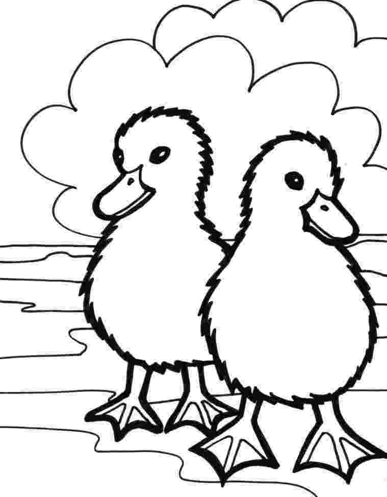 animal pictures coloring pages adult coloring pages animals best coloring pages for kids pictures pages animal coloring 