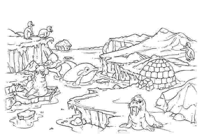 antarctica coloring pages best photos of antarctica coloring pages antarctica map pages antarctica coloring 