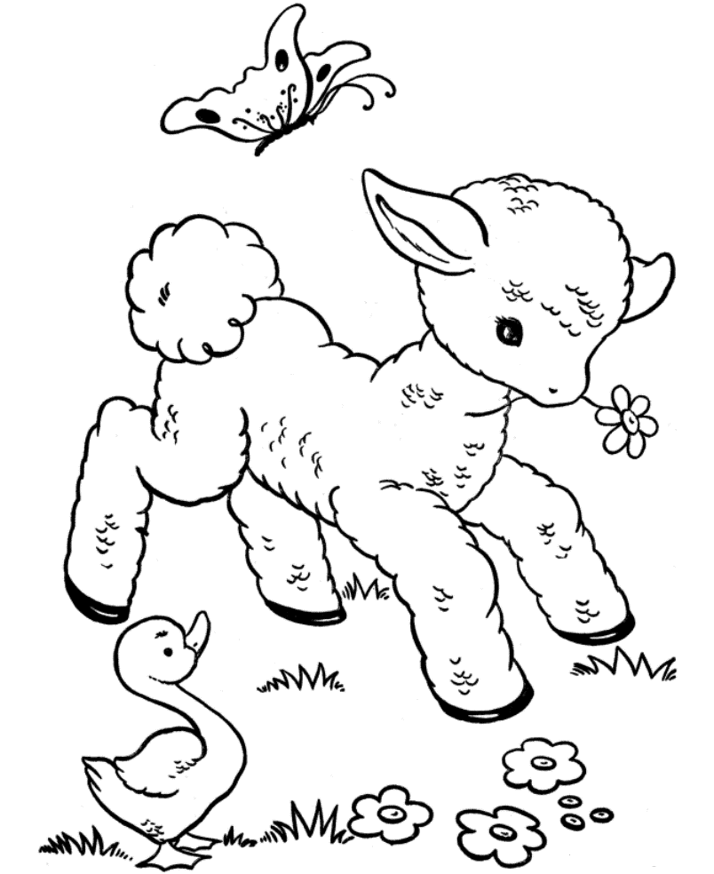 baby animal coloring baby animals coloring pages getcoloringpagescom baby coloring animal 