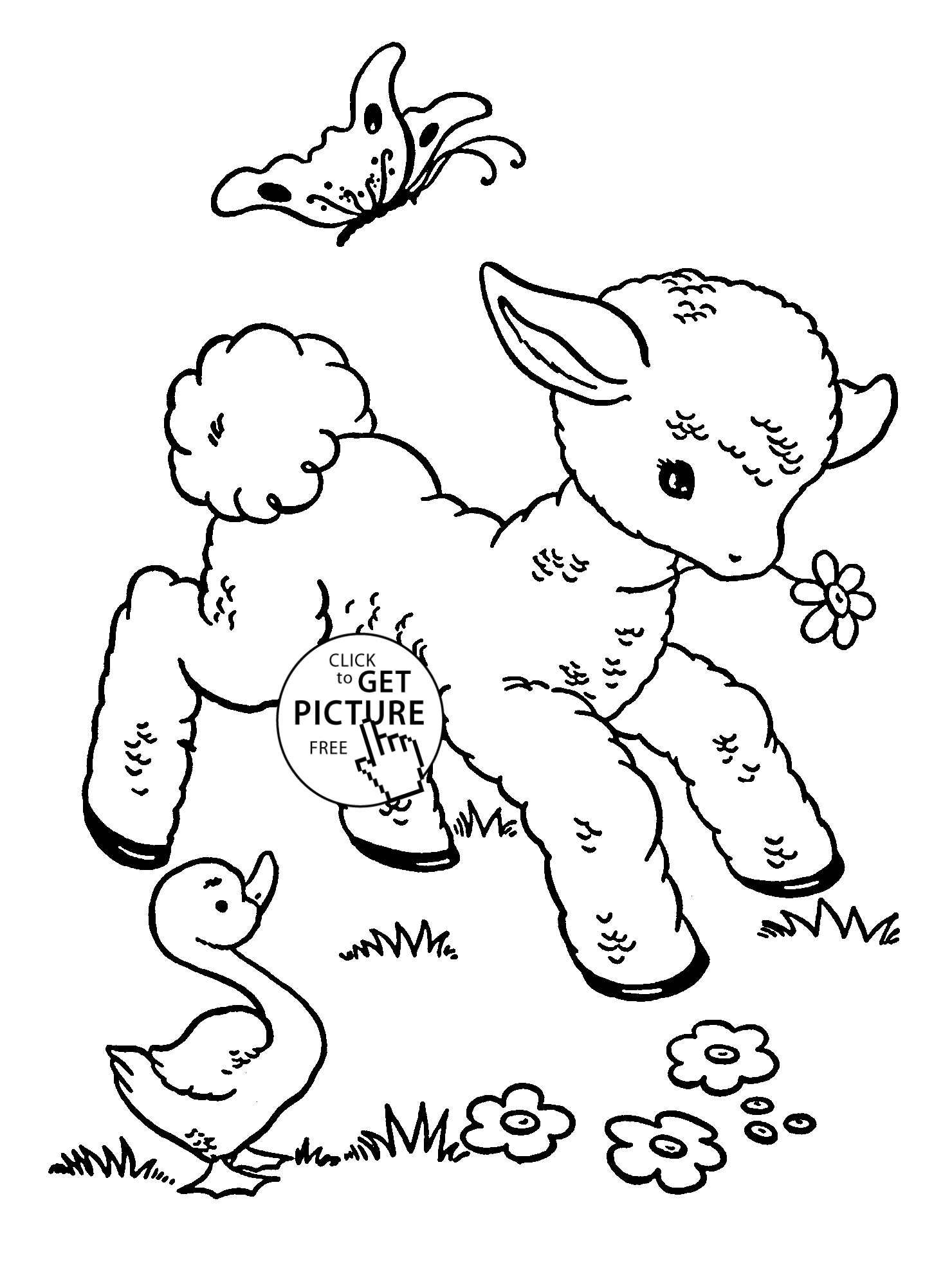 baby animals to color cute baby sheep animal coloring page for kids animal to color animals baby 