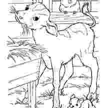 baby cow coloring pages cow coloring pages 360coloringpages coloring pages baby cow 
