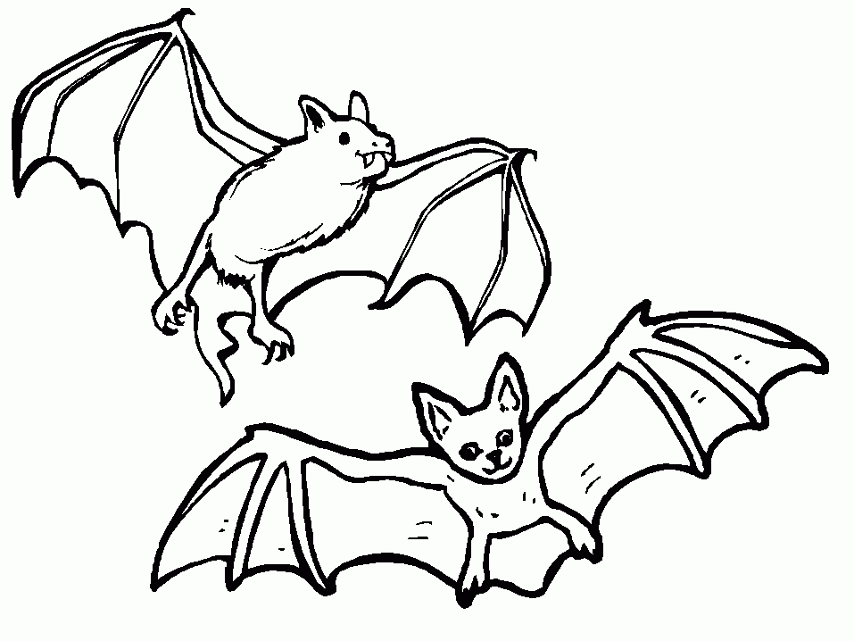 bats coloring pages free printable bat coloring pages for kids coloring pages bats 