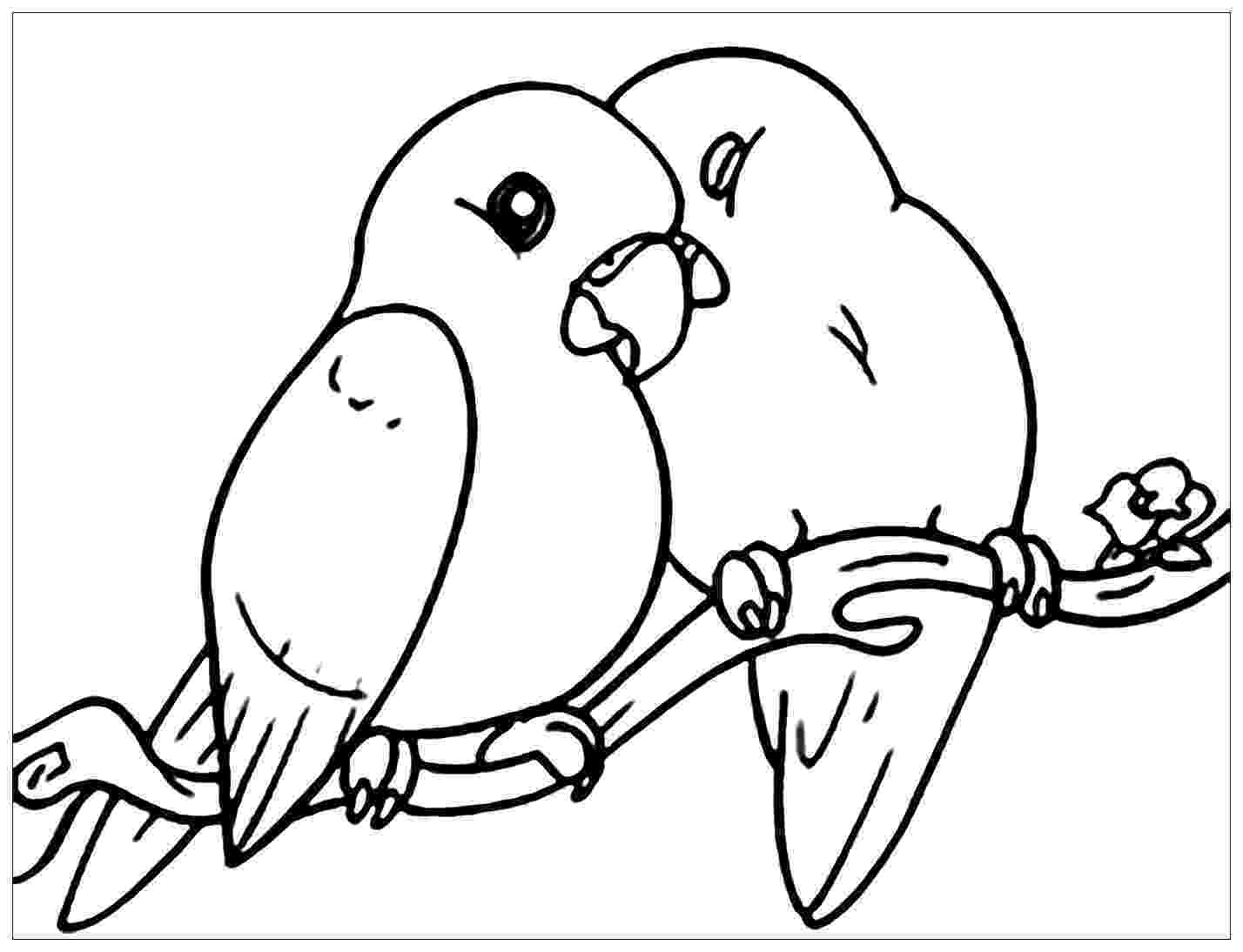 bird color page birds to download birds kids coloring pages page color bird 