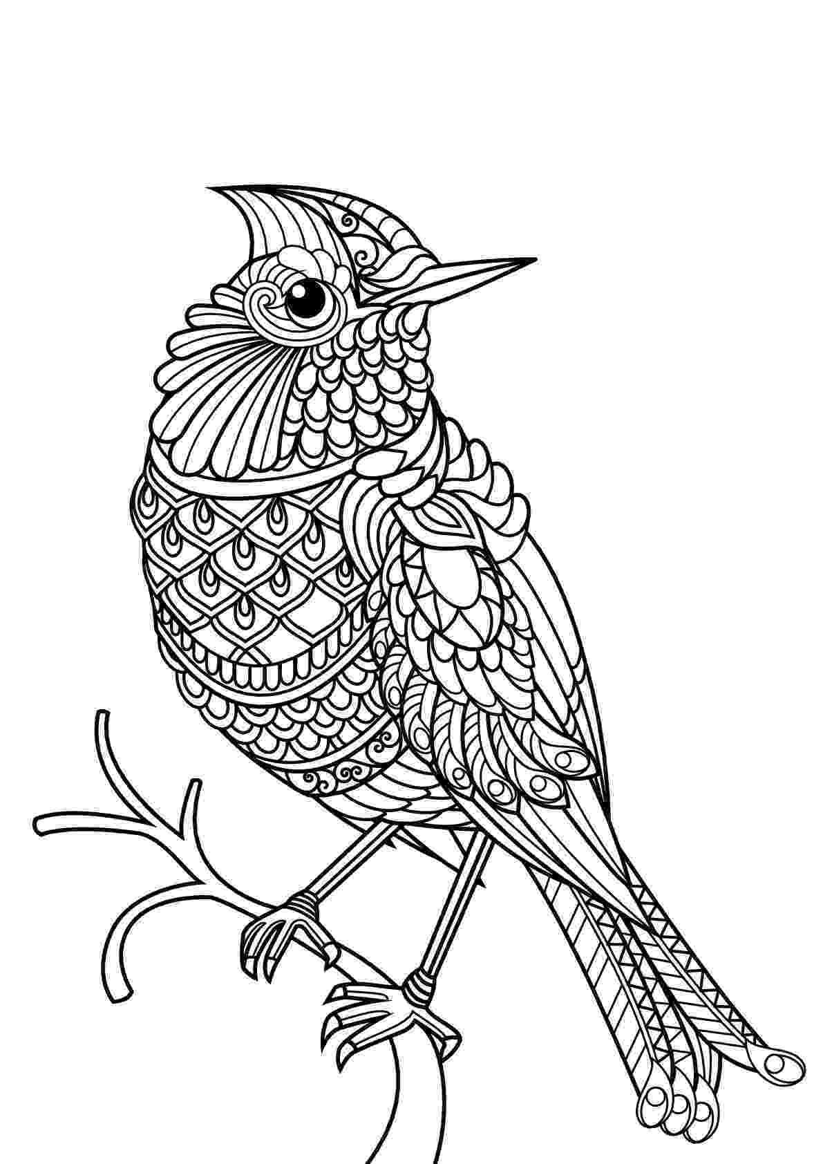 bird color page free printable tweety bird coloring pages for kids color bird page 