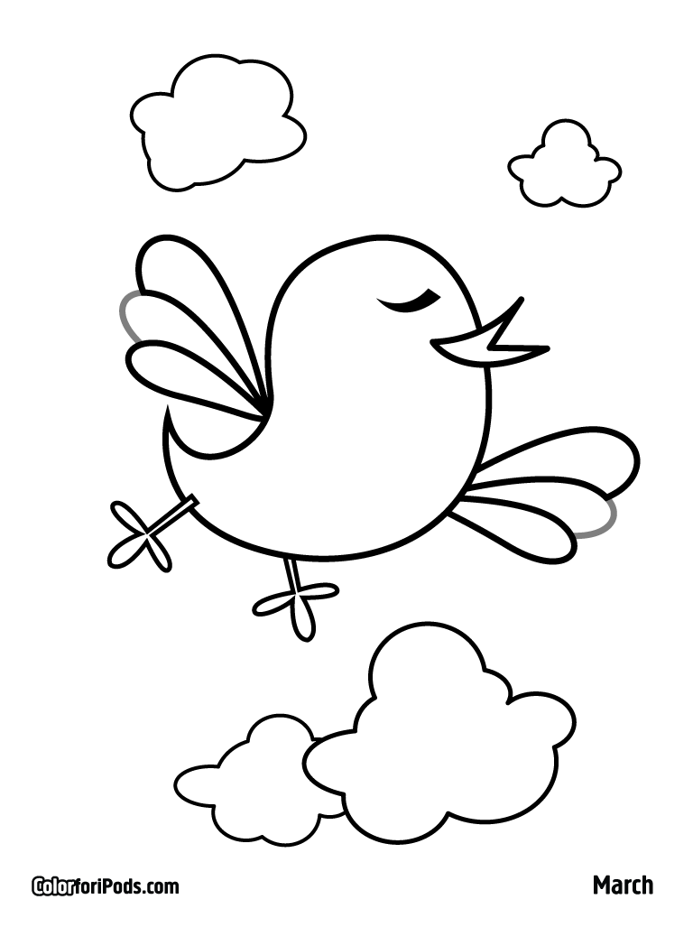 bird coloring colours drawing wallpaper beauyiful sweet little tweety coloring bird 