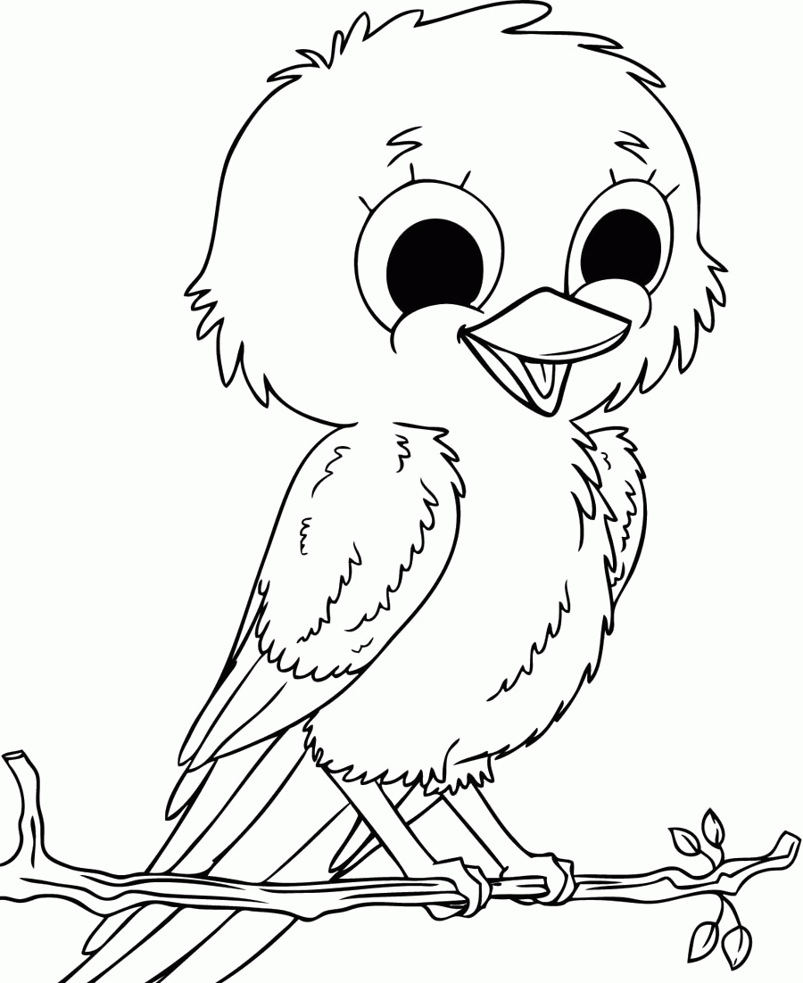 bird coloring pages free 20 free printable hummingbird coloring pages free coloring pages bird 
