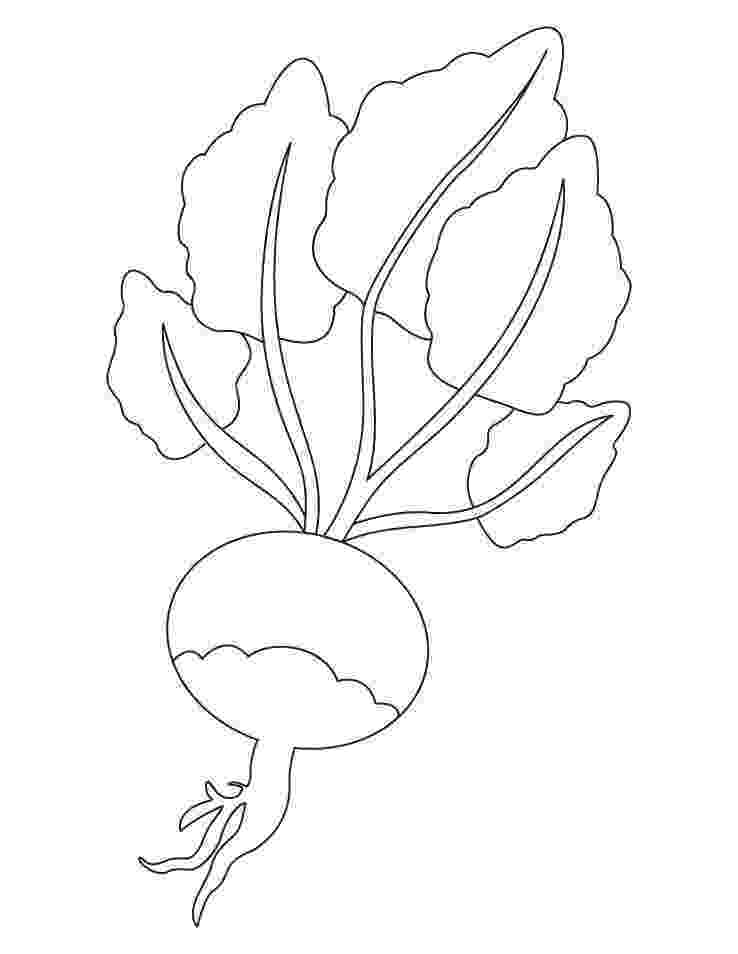 botany coloring book download the best free orchid coloring page images download from coloring botany download book 