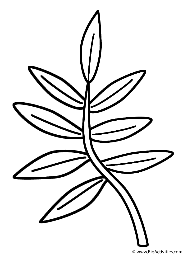branch coloring page blackberry branch coloring page supercoloringcom food branch coloring page 