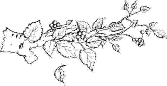 branch coloring page branch from the trolls coloring pages branch page coloring 