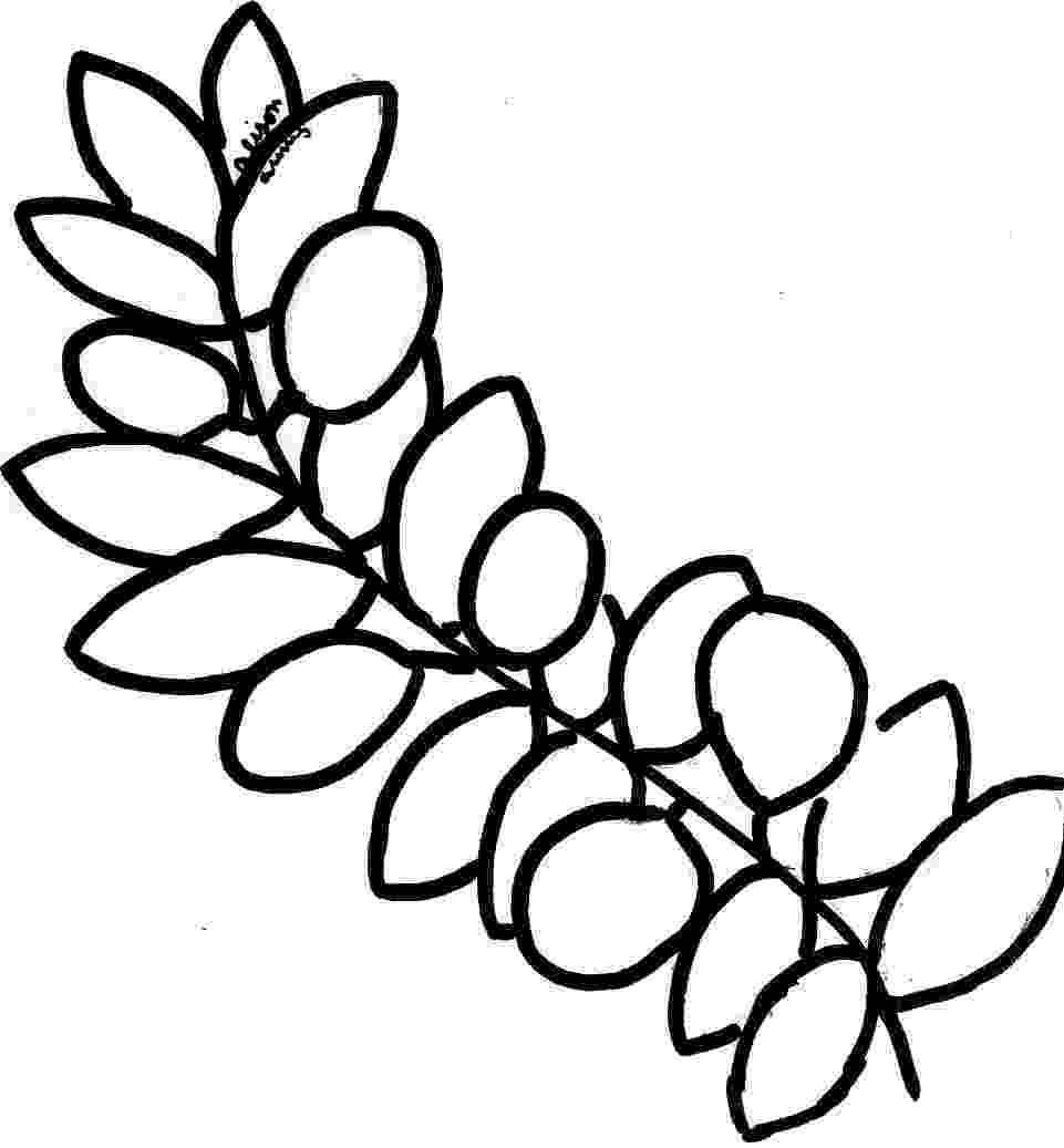 branch coloring page branch from trolls coloring page poppy coloring page coloring branch page 