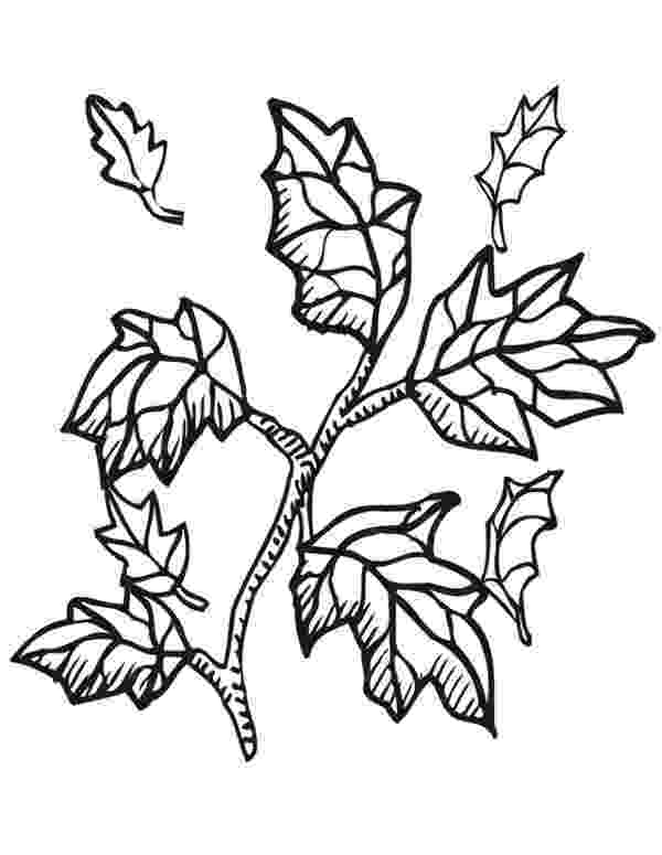 branch coloring page pigeon stands on branch coloring online super coloring branch page coloring 
