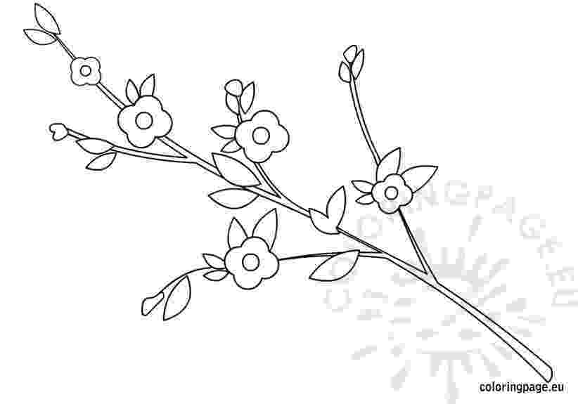 branch coloring page tree with branches drawing at getdrawings free download page coloring branch 