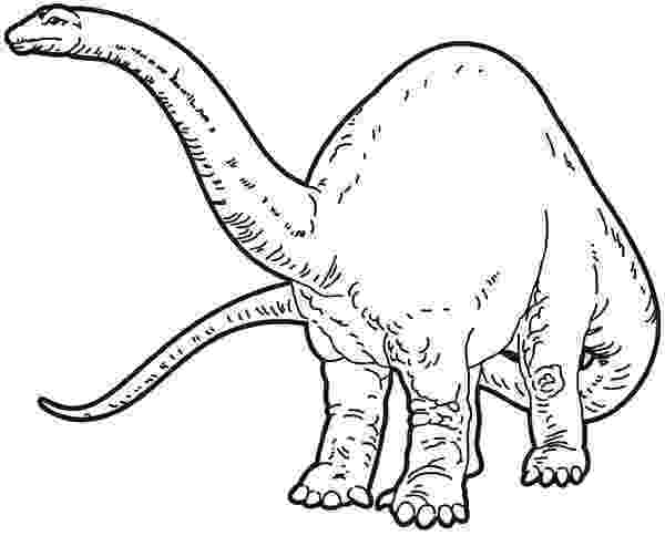 brontosaurus coloring page brontosaurus coloring page coloring home coloring page brontosaurus 