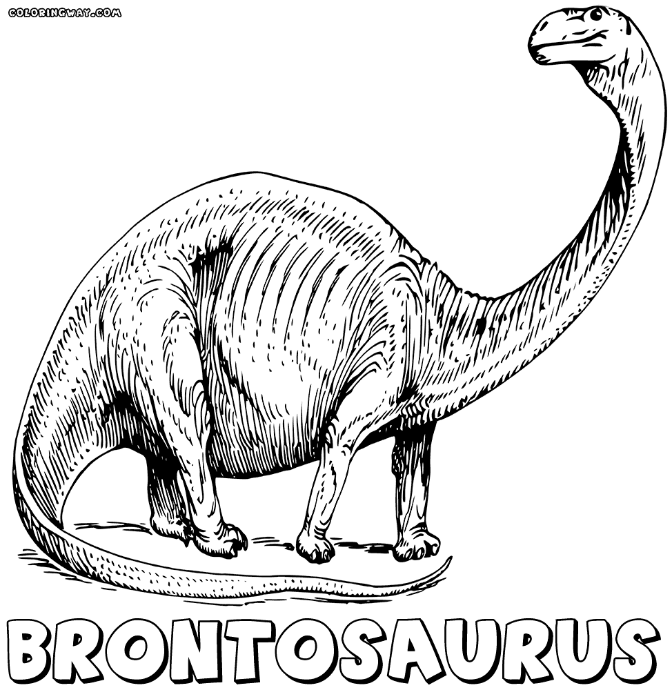 brontosaurus coloring page brontosaurus coloring pages coloring pages to download brontosaurus coloring page 