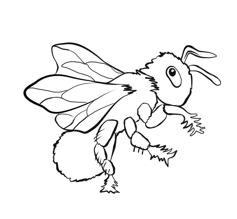 bugs colouring pages free printable bug coloring pages for kids pages colouring bugs 