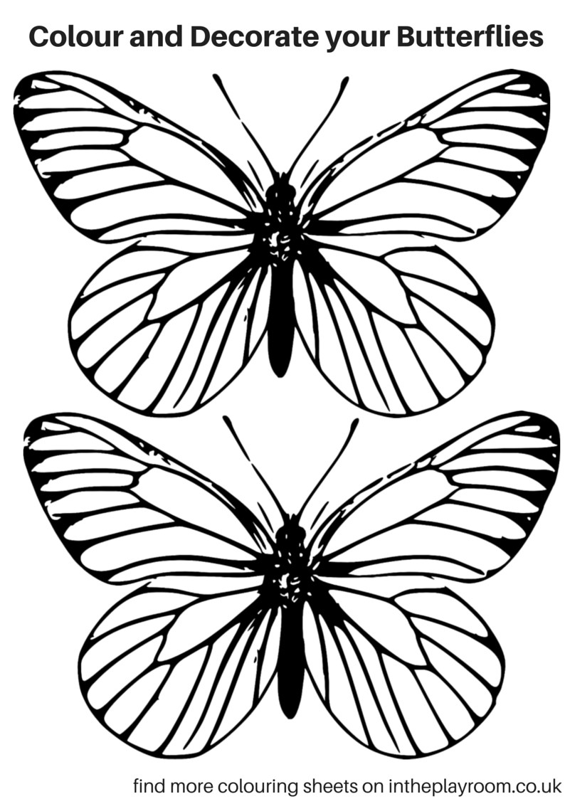 butterflies to color free free printable butterfly coloring pages for kids to butterflies color free 