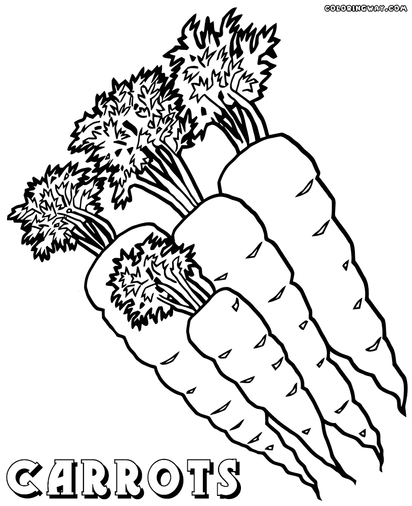 carrot coloring picture carrot coloring page free printable coloring pages picture carrot coloring 
