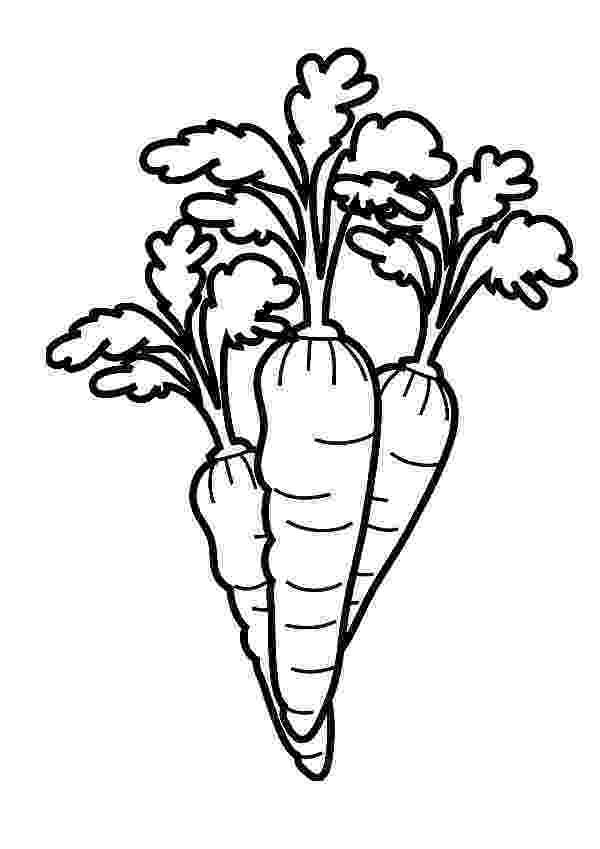 carrot coloring picture coloring pages carrot coloring carrot picture 