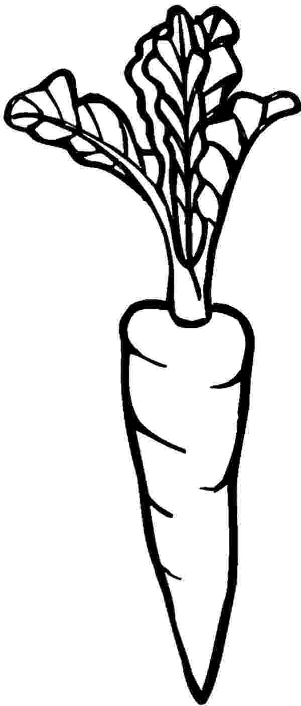 carrot coloring picture coloring pages for kids carrot coloring pages picture coloring carrot 