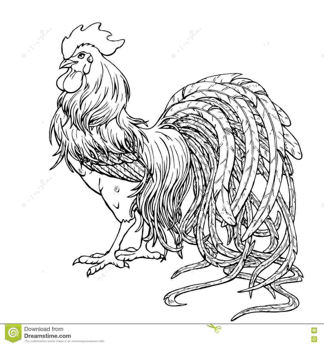 cartoon rooster best black and white rooster illustrations royalty free rooster cartoon 