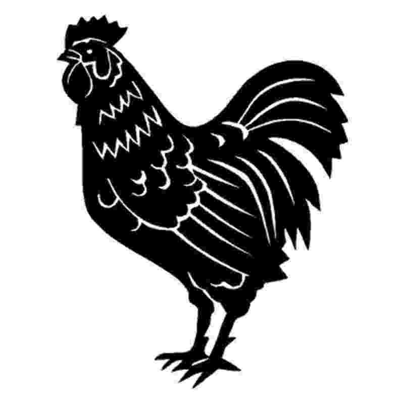 cartoon rooster cartoon of an outlined presenting rooster royalty free rooster cartoon 