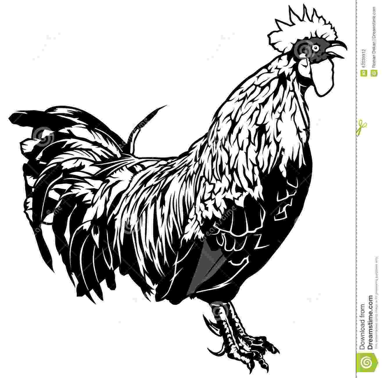 cartoon rooster free rooster cartoon images download free clip art free rooster cartoon 