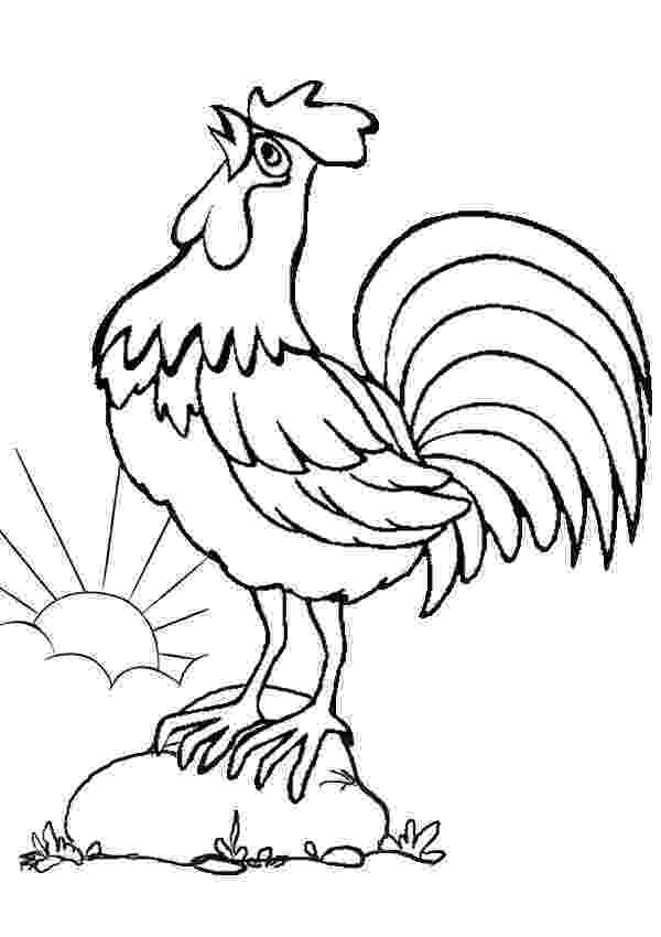 cartoon rooster royalty free bird stock designs page 4 rooster cartoon 