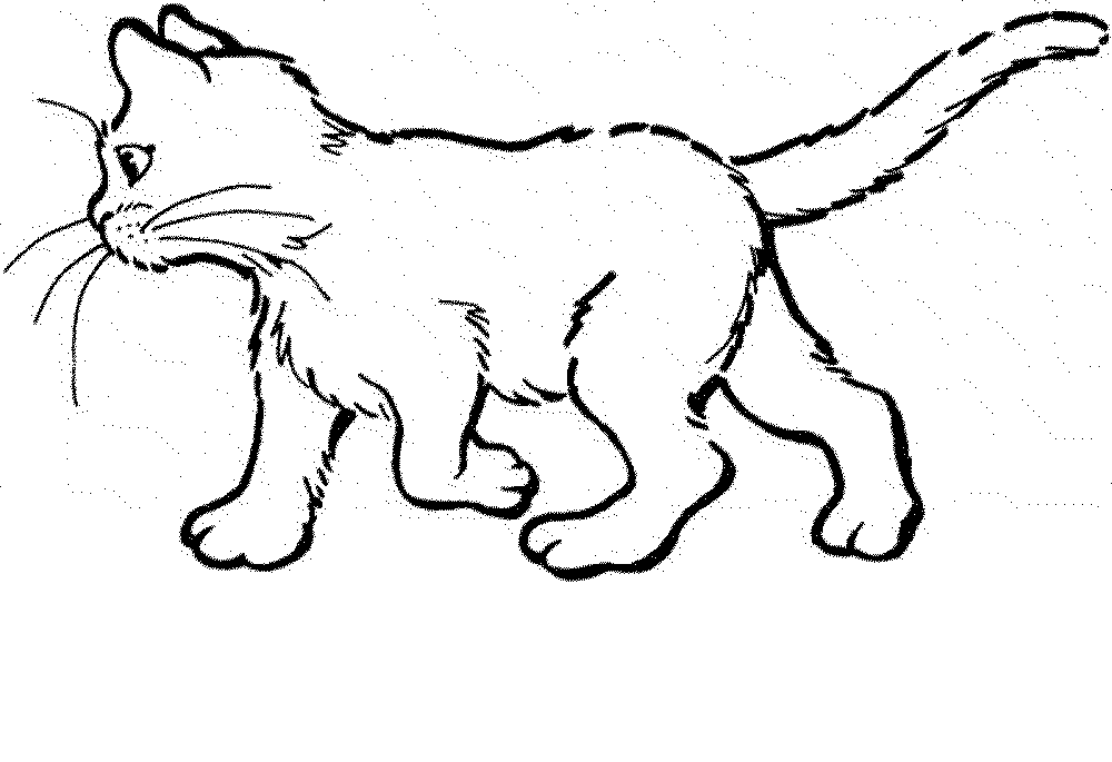cat pictures for kids to color free printable cat coloring pages for kids kids for pictures color cat to 